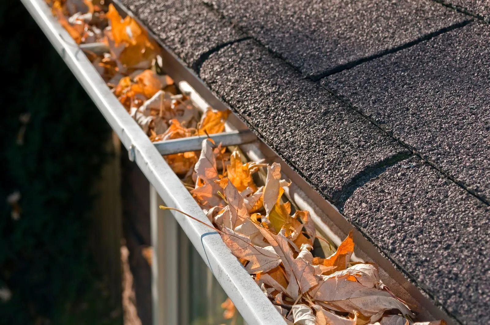 gutter-cleaning