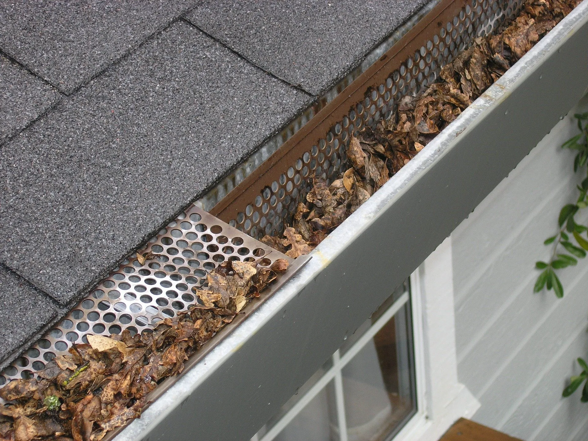 gutter-guard-ipswich-g89